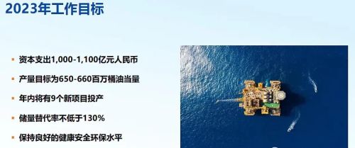 中国海洋石油2023年测算