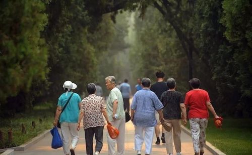 社保传来“坏消息”？专家建议：调整缴费年限，3类人或将受影响