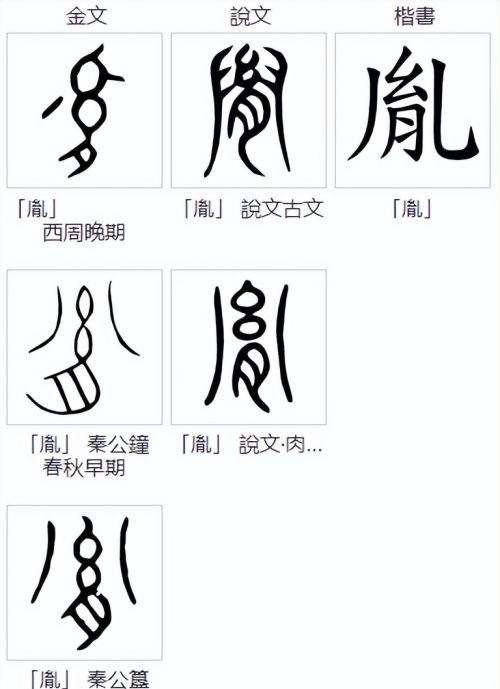 说文解字：肯、胡、胭、肖、胤和“月”有什么关系？