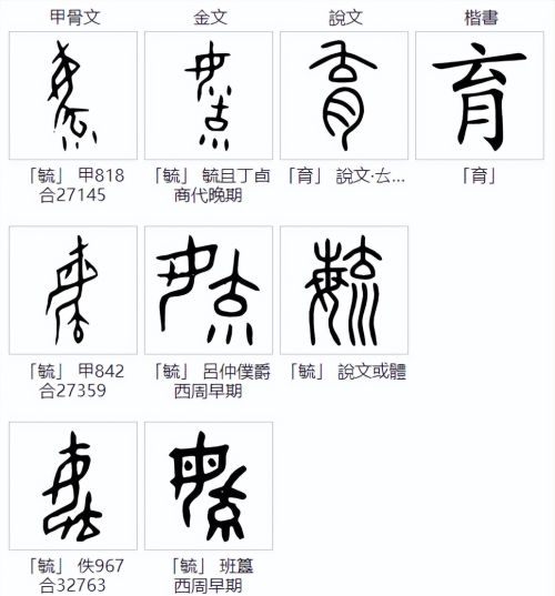 说文解字：肯、胡、胭、肖、胤和“月”有什么关系？