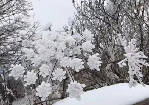 北京这里下雪啦！今天最低温仅8℃，下周一气温还会暴跌！