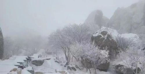 北京这里下雪啦！今天最低温仅8℃，下周一气温还会暴跌！