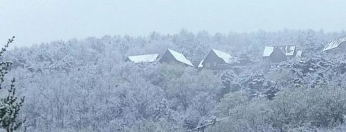 北京这里下雪啦！今天最低温仅8℃，下周一气温还会暴跌！