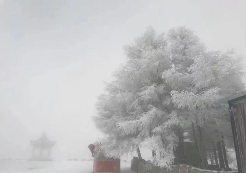 北京这里下雪啦！今天最低温仅8℃，下周一气温还会暴跌！