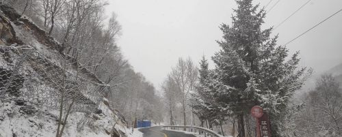 北京这里下雪啦！今天最低温仅8℃，下周一气温还会暴跌！