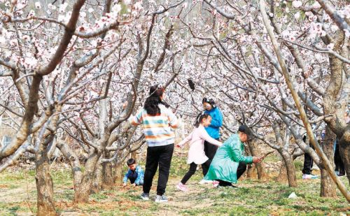 清明节将至，除了祭祖扫墓，你们当地还有哪些风俗习惯？