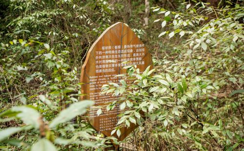 贵州黔东南仅有一处世界遗产，山色清奇如画卷，但至今少人知道