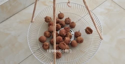 电风扇坏了卖掉不值钱，简单改造一下放阳台，全家人看了都夸好