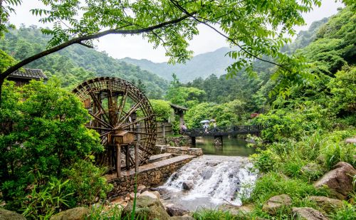 贺州有个华南最大的天然森林氧吧，环境清幽静美，难怪当地人长寿