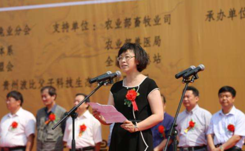 山西美女市长杨晓波：陪睡42个官员，敛财1400万，被抓后跪地求救