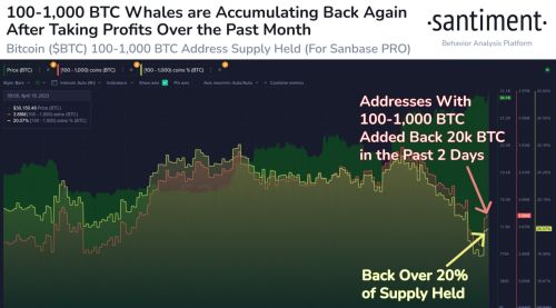 比特币鲸鱼在短短两天内积累超过2万比特币