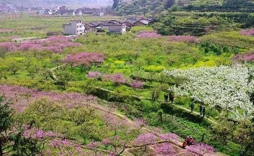 余生，把自己活成人间四月天