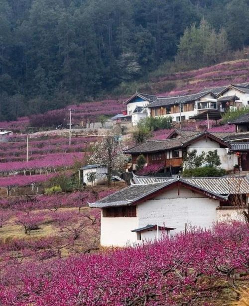 余生，把自己活成人间四月天