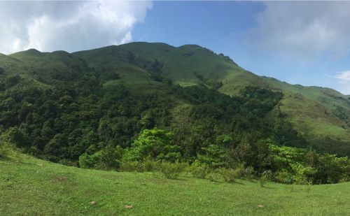 茂名第一县争夺战：高州与信宜，到底谁更有实力问鼎？