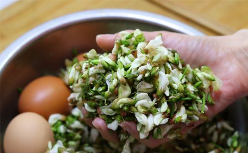 四月槐花香，学会“槐花鸡蛋饼”的做法，花香四溢，家人有口福了