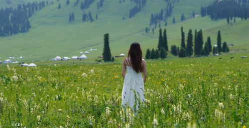 世界四大草原中最特别的一个在中国，它被誉为空中草原，美若仙境