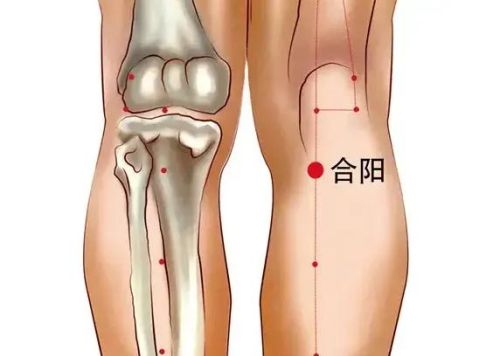 神奇合阳穴，阳气汇聚止痛穴，温阳止痛中医治疗腰腿冷痛的要穴