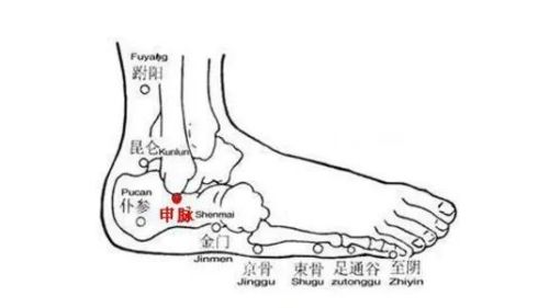 神奇申脉穴，经脉伸展穴，舒经活络中医治疗腰腿疼痛的要穴