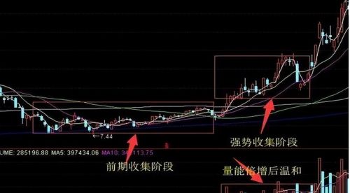 巴菲特说破中国股市：为什么在10块钱时买入，跌到5元反而卖出？