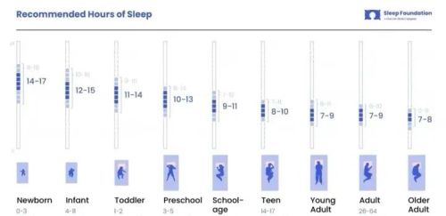一天几个小时的睡眠是最合适的？