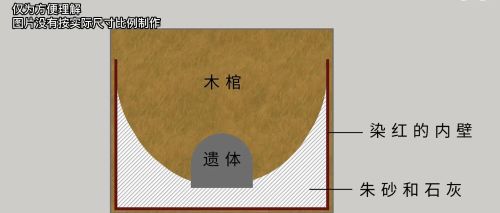 德川遗骨调查：幕府将军的遗骨又会透露出哪些被隐藏的历史信息？