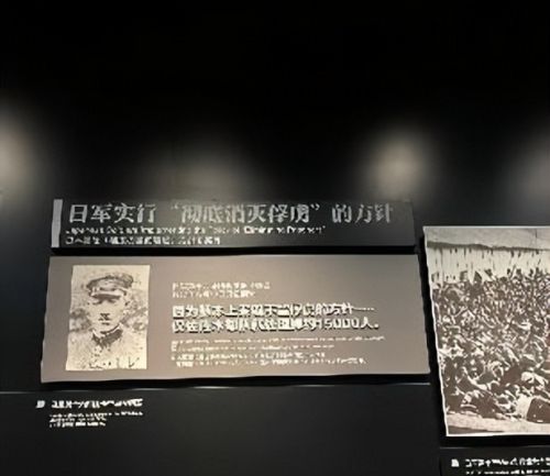 勿忘国耻！南京大屠杀，日本人到底有多残忍?