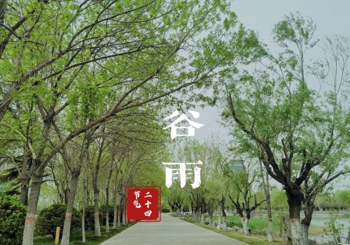 4月20日谷雨节气，建议：多给家人吃这3道家常菜，平稳健康迎夏天