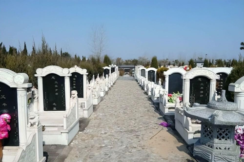 火葬或将被淘汰？新型殡葬方式在国内试行，成本10万你能接受吗？
