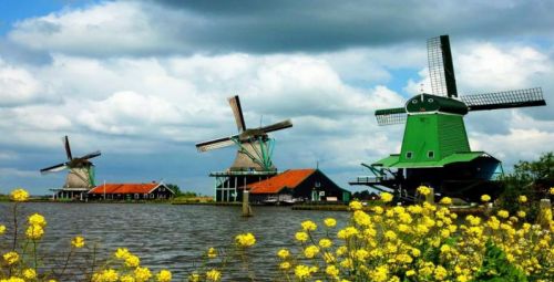 游客在荷兰旅游：很多国家觉得脸红的事情，这里几乎都合法！