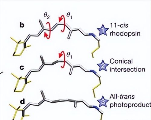 有机合成中，如何利用光化学反应制备高分子材料？
