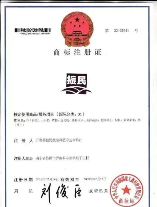沂南县振民蔬菜种植专业合作社获评国家农民专业合作社示范社荣誉称号