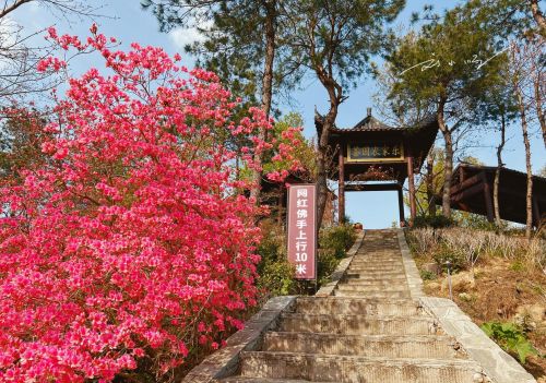 武汉黄陂发现“网红佛手”，藏在4A景区内，据说好多游客会来打卡