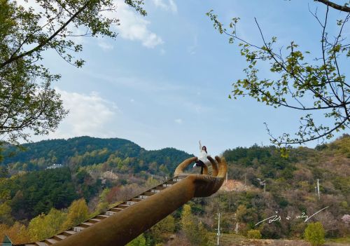 武汉黄陂发现“网红佛手”，藏在4A景区内，据说好多游客会来打卡