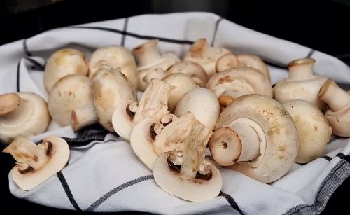 蘑菇营养非常好，每天吃多少合适？