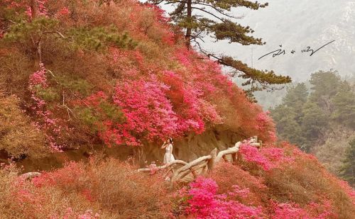 了不起的黄陂：全国A级景区数量最多的县（市区），名字可别读错