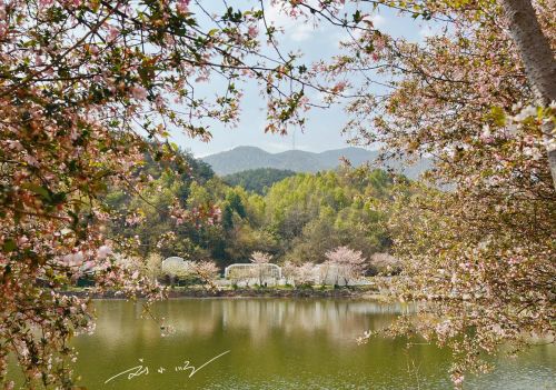 了不起的黄陂：全国A级景区数量最多的县（市区），名字可别读错