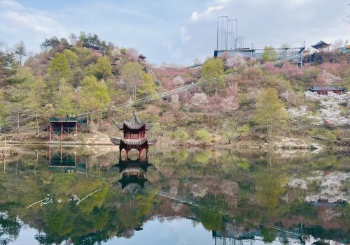 武汉市黄陂区发现宝藏“赏花胜地”，山美水美花美，还不会人挤人