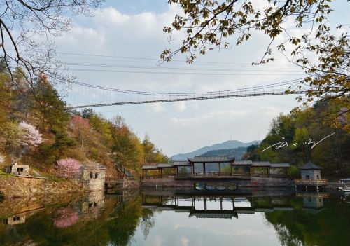 武汉市黄陂区发现宝藏“赏花胜地”，山美水美花美，还不会人挤人