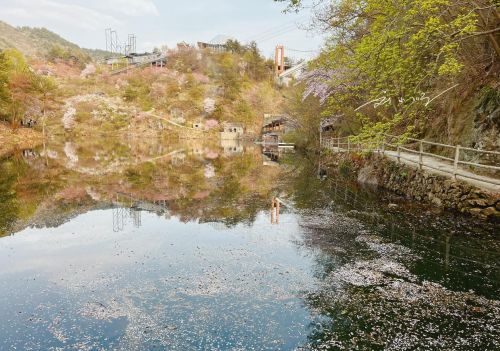 武汉市黄陂区发现宝藏“赏花胜地”，山美水美花美，还不会人挤人