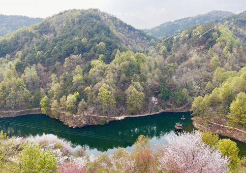 武汉市黄陂区发现宝藏“赏花胜地”，山美水美花美，还不会人挤人