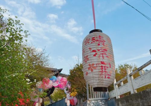 武汉市黄陂区发现宝藏“赏花胜地”，山美水美花美，还不会人挤人