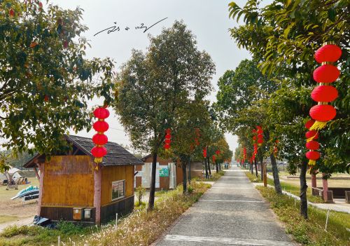 广东佛山这个小众露营地，就在5A景区旁边，环境优越，游客还不多