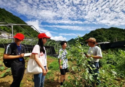 “知青下乡”重启？广东打响第一枪！号召30万青年，下乡返乡兴乡