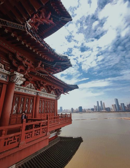 烟雨朦胧回首处，豫章故里一树春