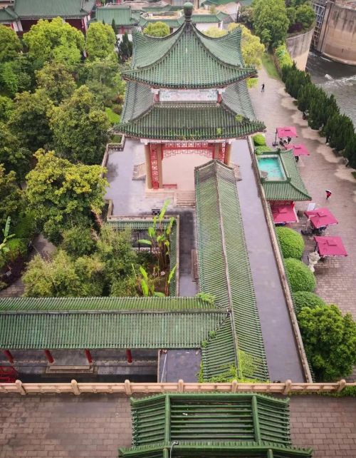 烟雨朦胧回首处，豫章故里一树春