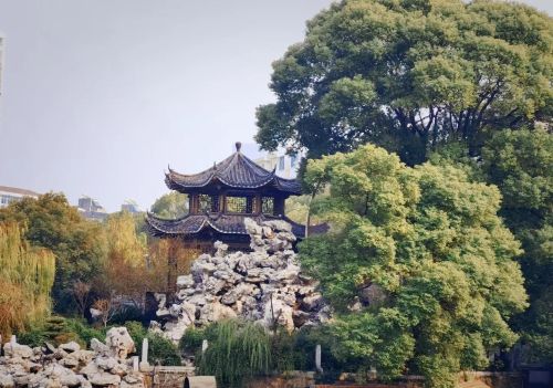 烟雨朦胧回首处，豫章故里一树春