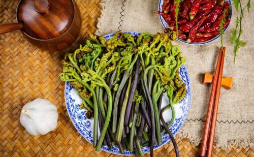 饮食养生——5 种可食用野菜与健康