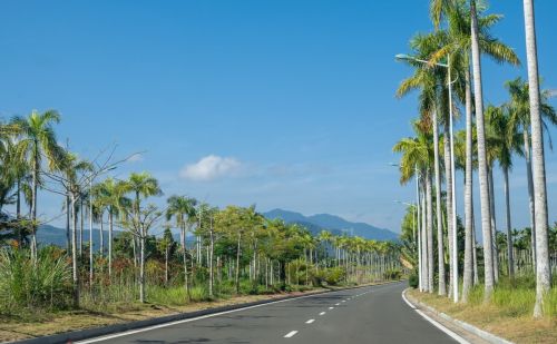 外地人去海南过冬，去哪个城市比较温暖？一不小心选错城市太冷了