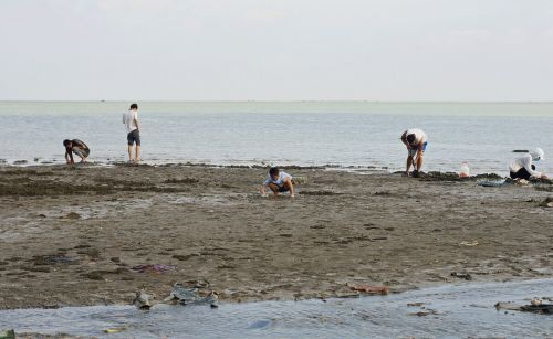 即使价格再低，都不建议你去这几个城市买养老房