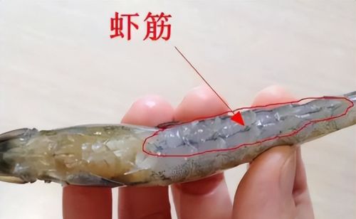 虾线是虾的“粪便”，可为何很多人不挑出来？吃了到底有没有害？